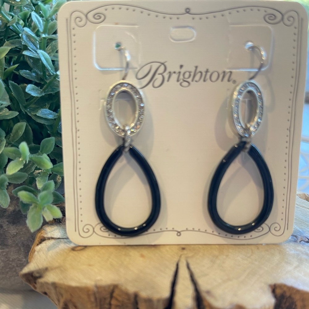 Neptune's Rings Night French Wire Earrings